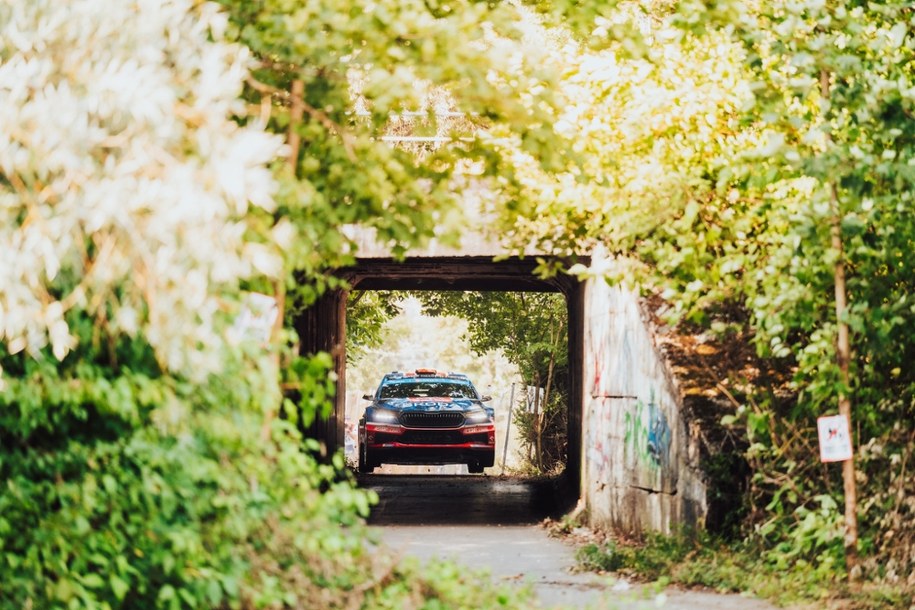 /materiały prasowe /