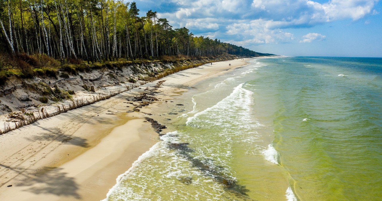 Pusta i szeroka plaża, do której dotrzesz przez las. Prawie nie ma na niej ludzi