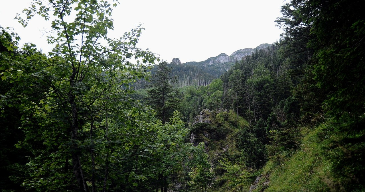 Wycieczki z przewodnikiem po Tatrach zupełnie za darmo. Sprawdź, gdzie się zapisać