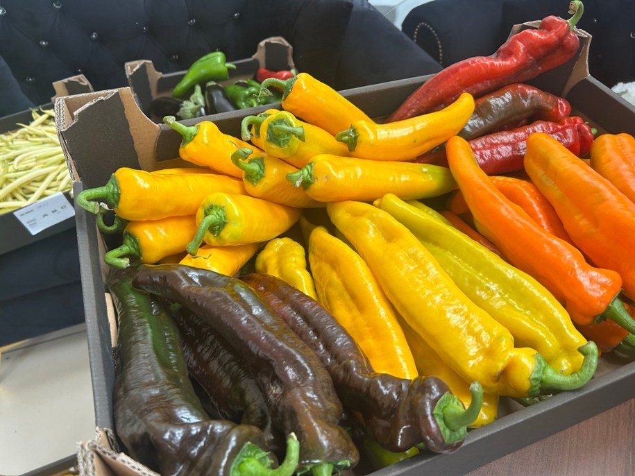 /Fot. Michał Dobrołowicz /RMF FM