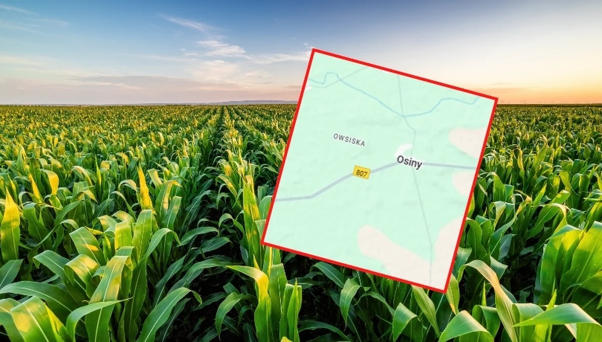 ​W nocy z wtorku na środę na pole kukurydzy w miejscowości Osiny koło Łukowa na Lubelszczyźnie spadł niezidentyfikowany obiekt, który następnie eksplodował. Policjanci znaleźli nadpalone metalowe i plastikowe szczątki. Uszkodzeniu uległ co najmniej jeden budynek gospodarczy. Komunikat w tej sprawie wydało Dowództwo Operacyjne Rodzajów Sił Zbrojnych.