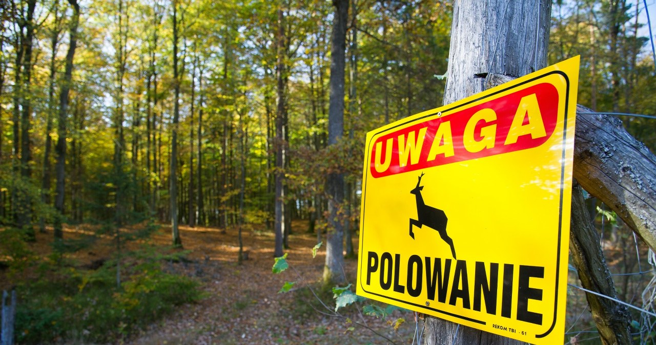 Tragedia podczas polowania. Myśliwy w areszcie