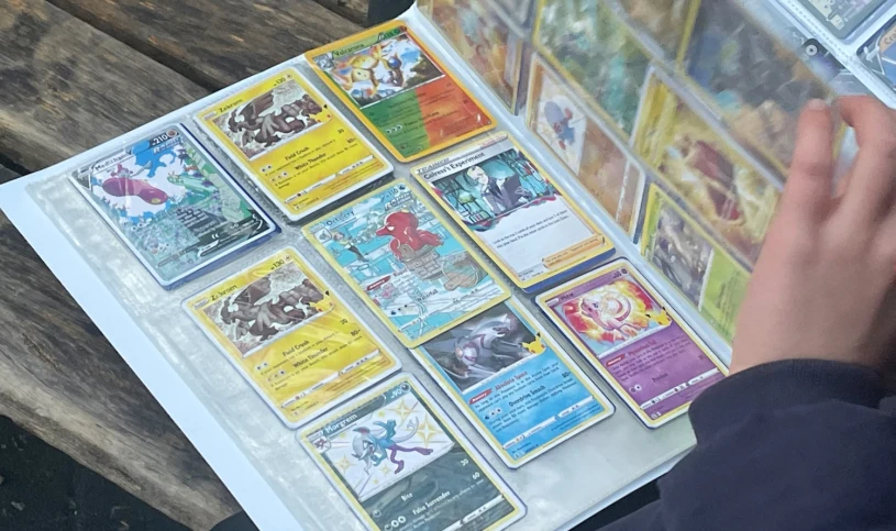 Brutalny napad i grabież kart Pokemon za 80 tys. zł. Sędzia nie miał litości