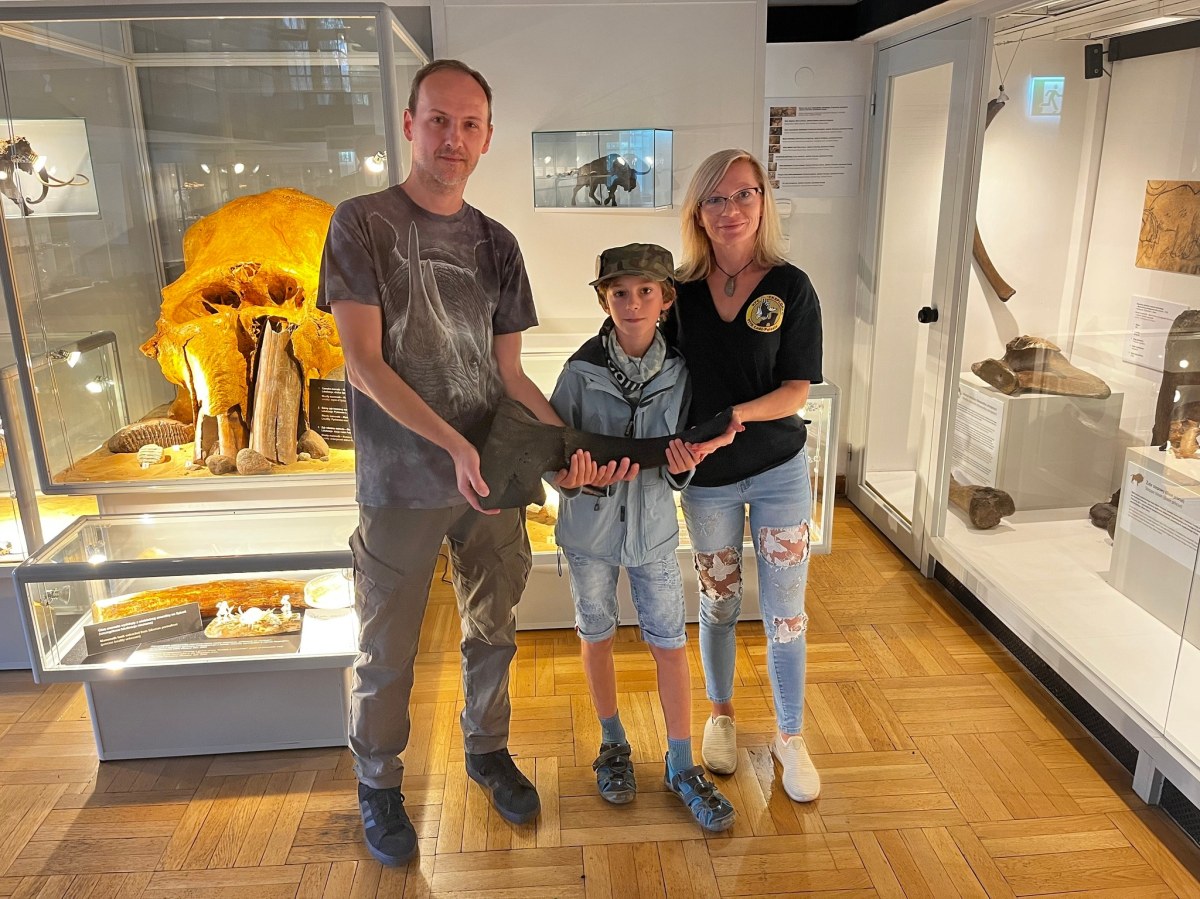 ​Czaszka wymarłego prażubra w Wiśle. Znalazł ją nastolatek