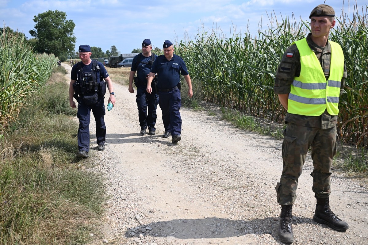 Wstępne ustalenia: Na pole kukurydzy spadł wojskowy dron