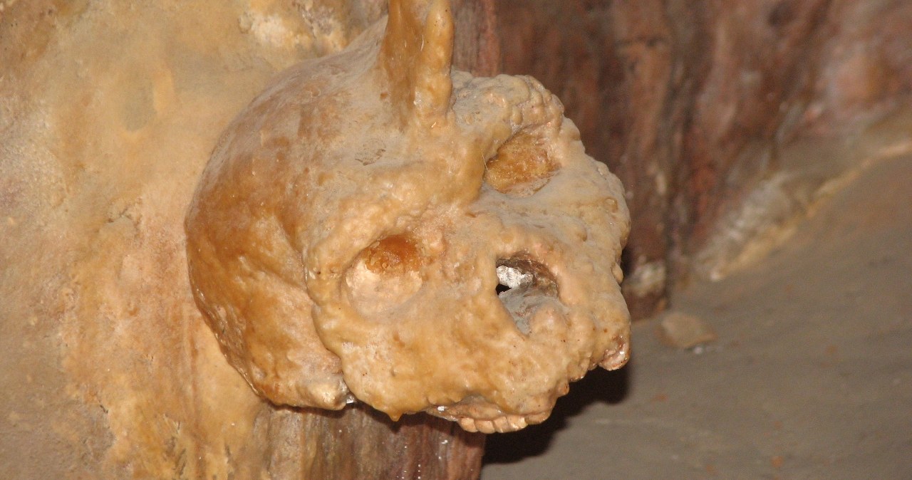 W jaskini w Europie odkryto dziwną czaszkę. Wyniki badań zdumiewają