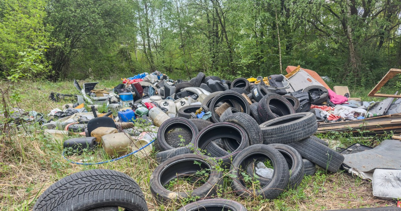 Lasy Państwowe alarmują. Zaśmiecanie lasów niesie za sobą opłakane skutki