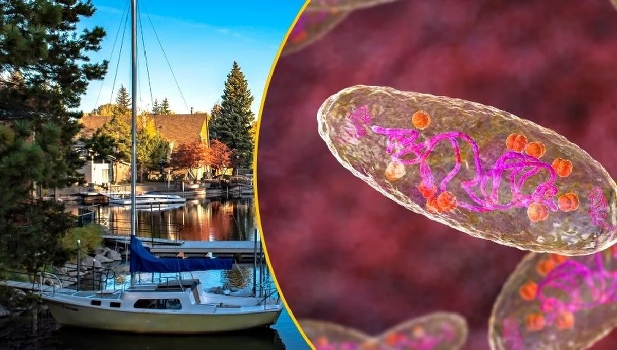 W South Lake Tahoe w stanie Kalifornia potwierdzono przypadek zachorowania na dżumę. Choroba, która w średniowieczu zdziesiątkowała Europę, dziś nadal stanowi zagrożenie – choć występuje rzadko, może być śmiertelna. Turysta zaraził się dżumą podczas biwakowania w okolicy jeziora Tahoe.