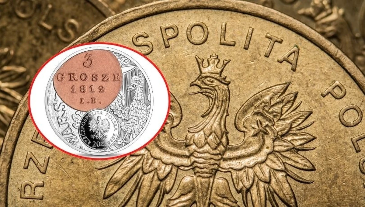 Narodowy Bank Polski wprowadził do sprzedaży nową srebrną monetę kolekcjonerską z serii "Historia monety polskiej". Choć jej nominał to 20 zł, na awersie i rewersie widnieje oznaczenie 3 grosze, co może zaskoczyć niejednego kolekcjonera. Cena monety znacznie przewyższa jej wartość nominalną.