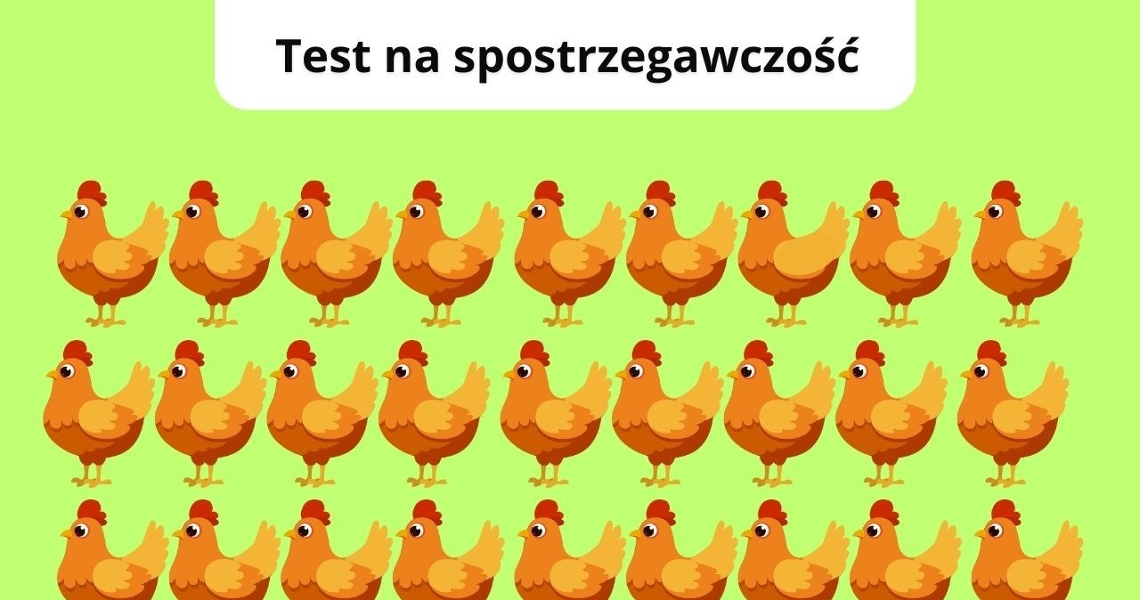 Prosty rysunek, trudne zadanie. Sprawdź, czy znajdziez inną kurę