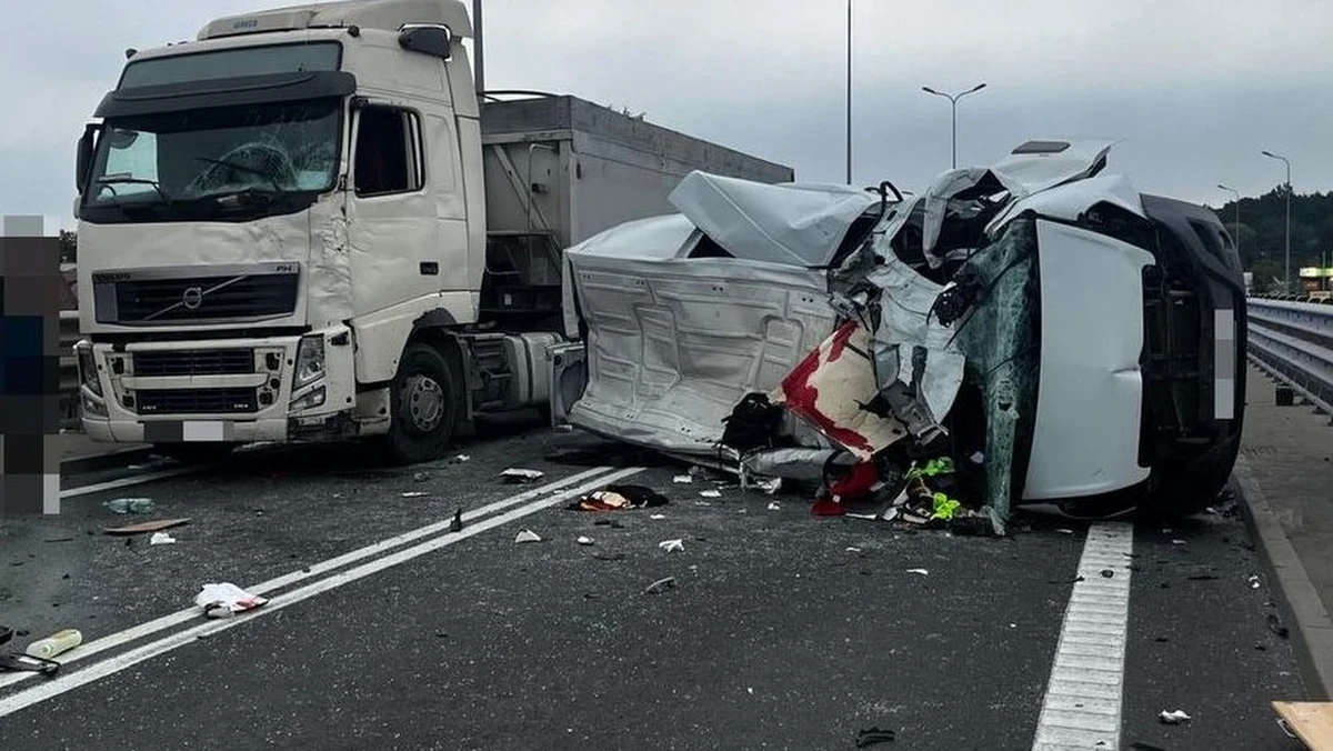 Trzy młode osoby trafiły do szpitala po groźnie wyglądającym wypadku w Głogowie Małopolskim na Podkarpaciu. Zderzenie czterech aut wywołało wielogodzinne utrudnienia. Okoliczności wypadku bada policja. 