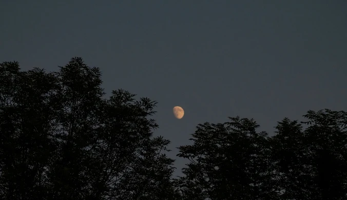 Rzadkie zjawisko na niebie. Pojawi się Czarny Księżyc, trwa odliczanie