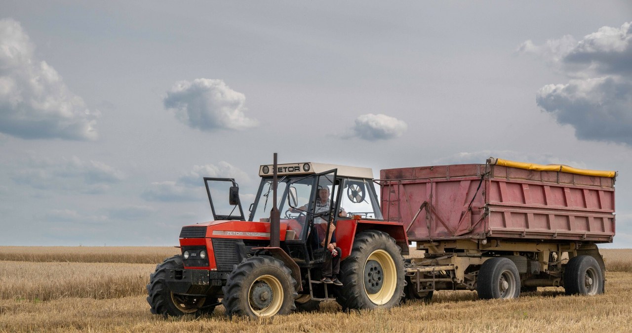 Kryzys gryczany w Rosji. Tak źle nie było od sześciu lat