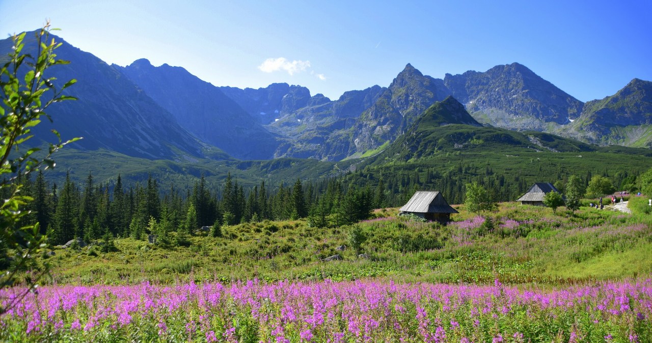 Małopolskie: top atrakcje od Krakowa aż do Tatr