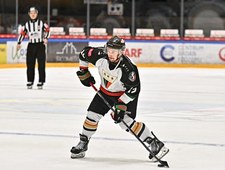 Hokej: Liga Mistrzów - mecz: GKS Tychy - Frölunda HC