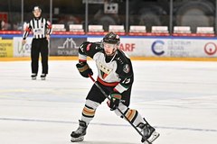 Hokej: Liga Mistrzów - mecz: GKS Tychy - Frölunda HC