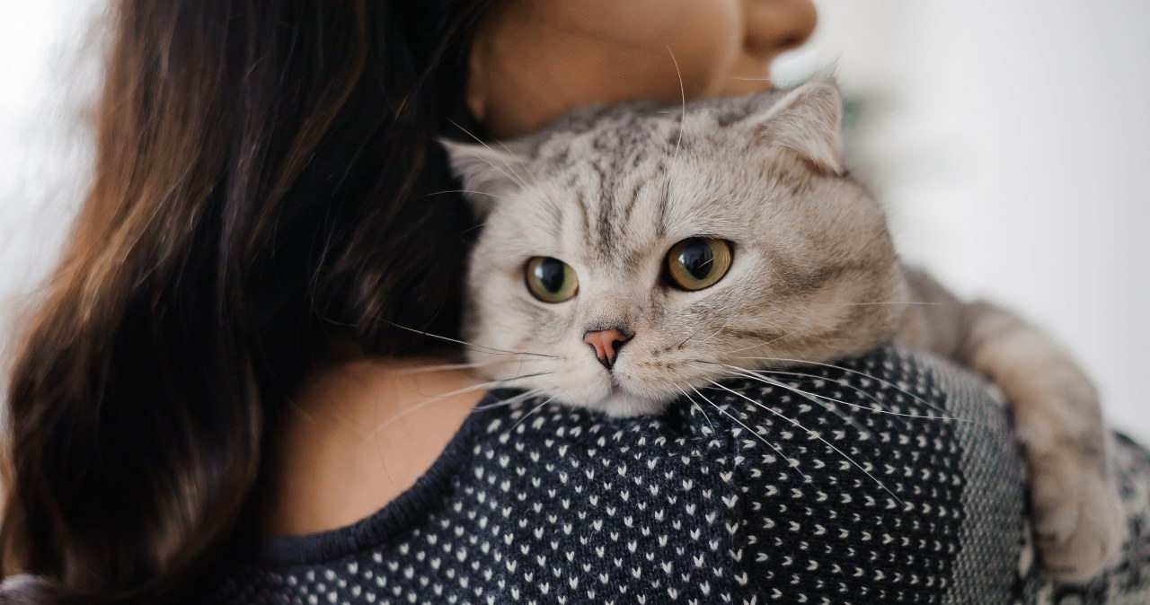Koty dają więcej niż towarzystwo. Naukowcy potwierdzają ich wpływ na zdrowie