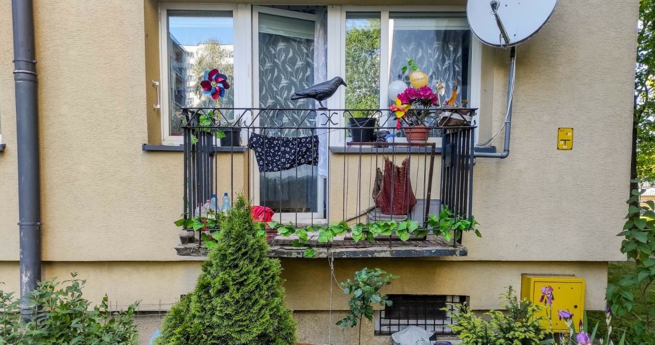 Ogródek pod blokiem? Nie każdy wie, kto naprawdę za to płaci