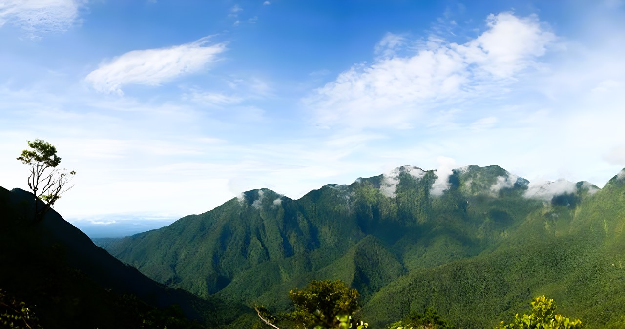 Zbadali jaskinię ukrytą głęboko w lesie. Odkryli ważne dowody
