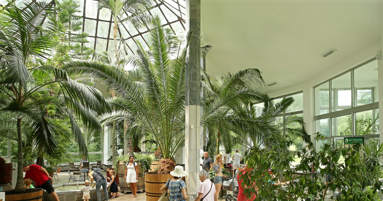 To uzdrowisko warto odwiedzić jesienią. Klimat łagodniejszy niż w górach, a Park Zdrojowy zachwyca