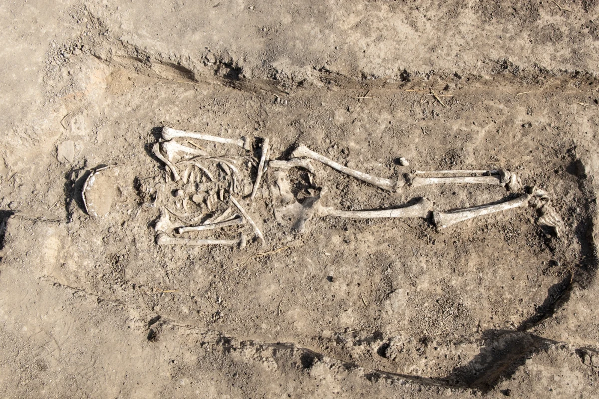 Niezwykłego odkrycia dokonali archeolodzy podczas prac przy budowie gazociągu w gminie Inowrocław, w sołectwie Orłowo (woj. kujawsko-pomorskie). W ziemi natrafiono na zbiorowy pochówek czterech osób – dorosłego mężczyzny, kobiety oraz dwojga dzieci. Szczątki mogą liczyć nawet 9 tysięcy lat i pochodzić z mezolitu. Jeśli badania to potwierdzą, będzie to pierwszy zbiorowy pochówek z tego okresu na ziemiach polskich.