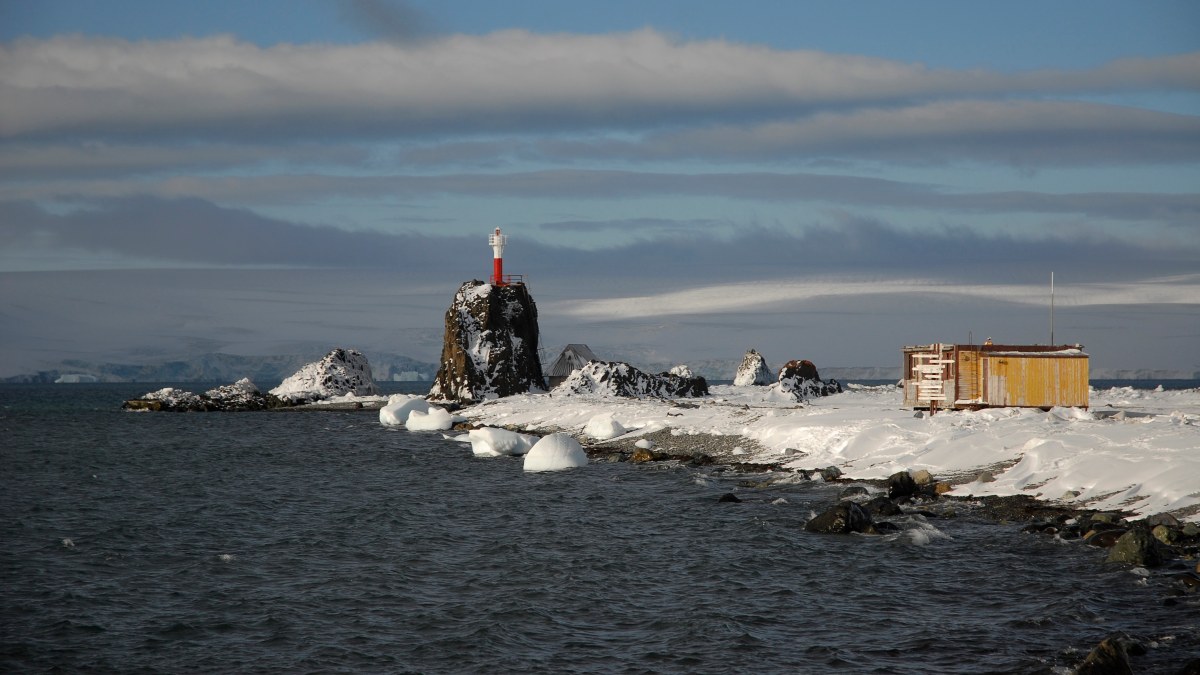 Historyczny sukces Polki. Agnieszka Kruszewska stanie na czele "Antarktyki"