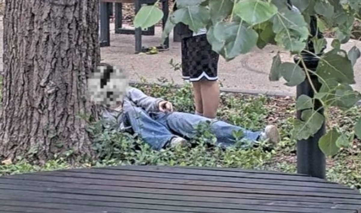 Szokujące sceny w parku. "Zdjęcia nie oddają w pełni dramatyzmu"