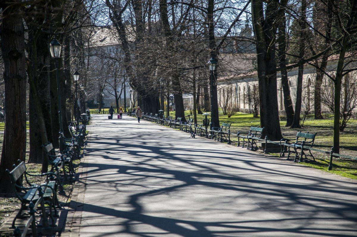 Krakowskie Planty przejdą metamorfozę
