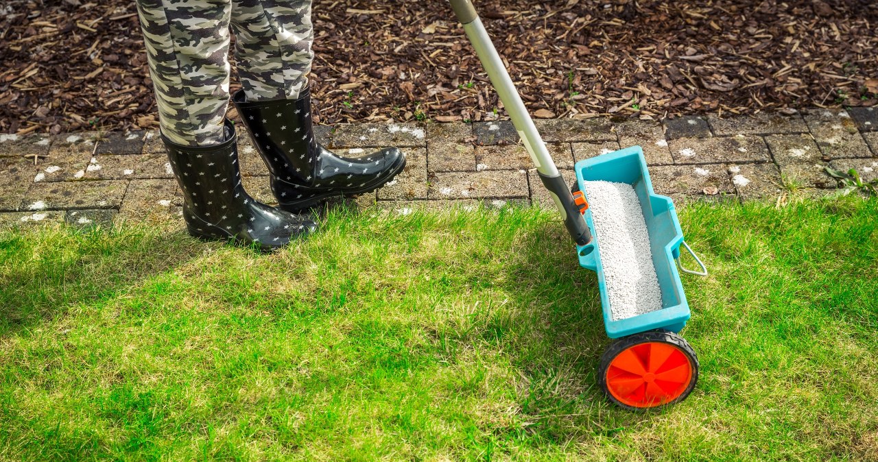 Jak dbać o trawnik jesienią? Tego terminu nie możesz przegapić