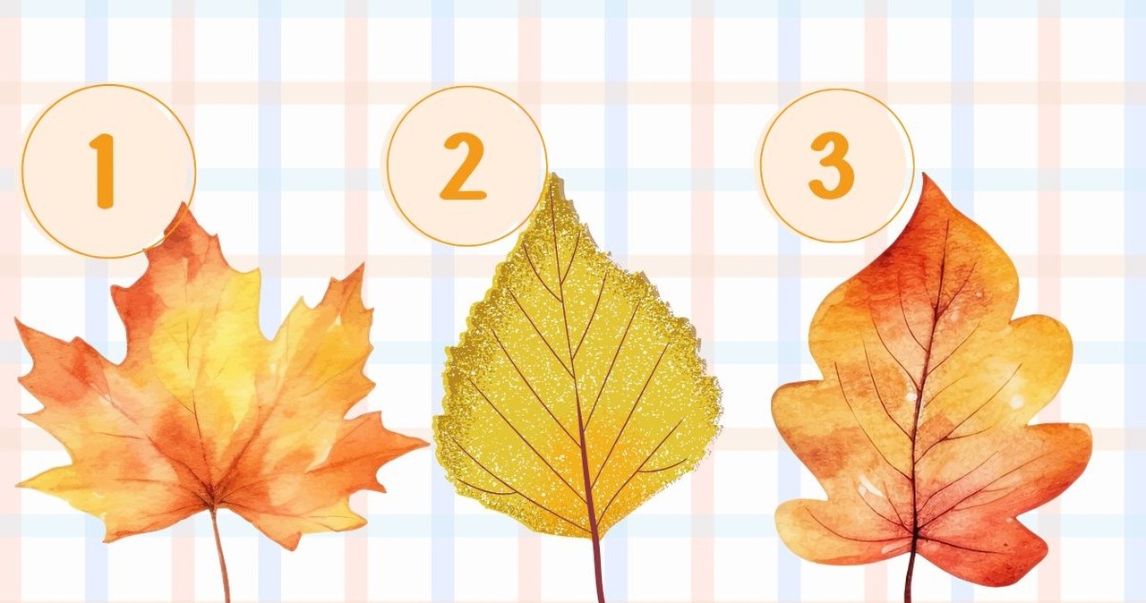 To może wydarzyć się już tej jesieni. Wybierz liść i poznaj prawdę
