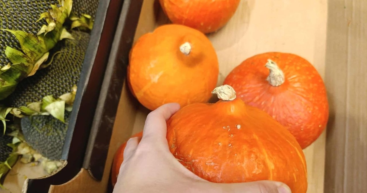 Nie tylko stukanie. Chcesz wybrać najlepszą dynię na straganie? Powąchaj ją