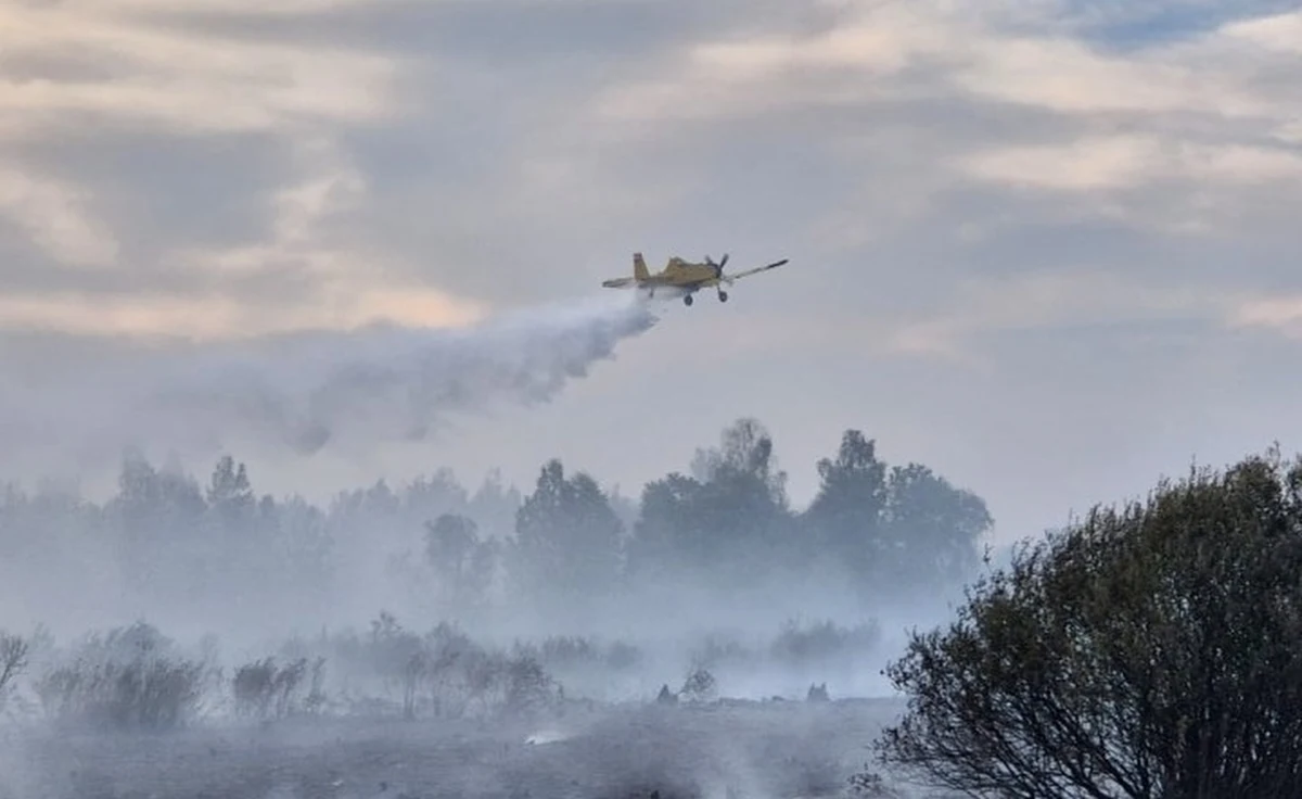 Pożar w starorzeczu Sanu na terenie gminy Radomyśl nad Sanem. Ogień objął hektary nieużytków w miejscowościach Kępa Rzeczycka, Dąbrowa Rzeczycka i Rzeczyca Okrągła. W akcji gaśniczej brało udział 22 zastępy straży pożarnej i samolot.