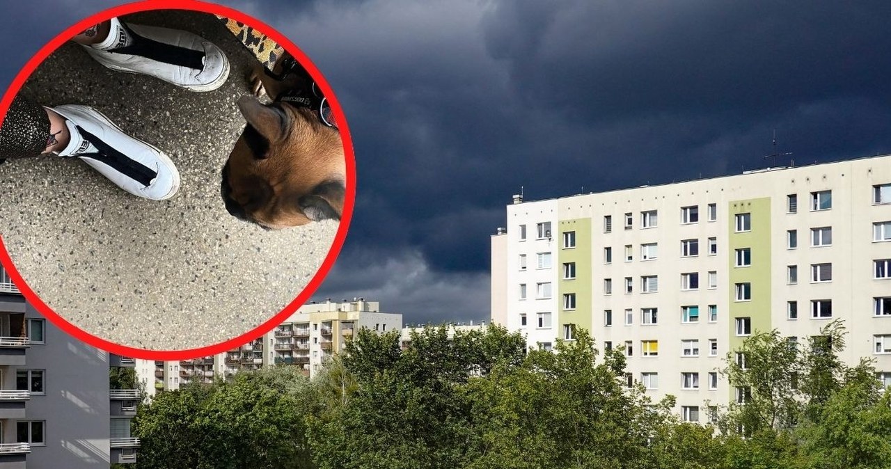 Hit łazienek i korytarzy w PRL. Zapomniane, dziś kosztuje spore pieniądze