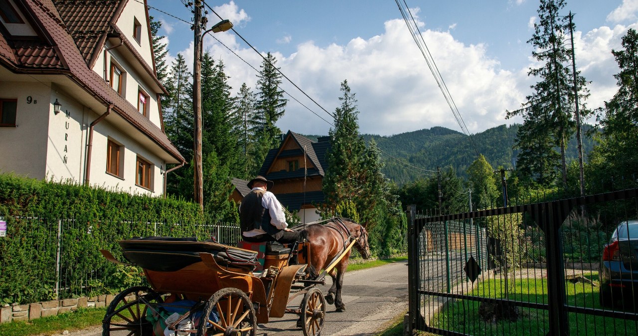 Mieszkańcy Zakopanego są wściekli. Właściciel działki dokonał "cudu"