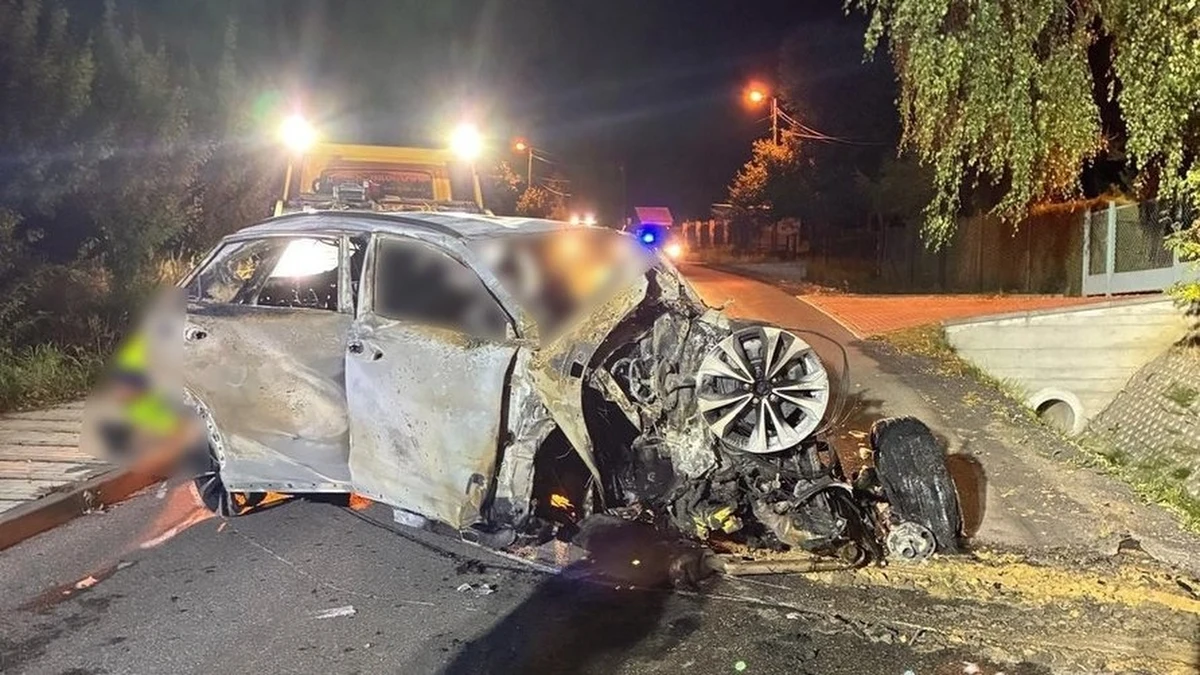 Trzy osoby nie żyją - to tragiczny bilans wypadku, do którego doszło w nocy z czwartku na piątek w Sierczy w powiecie wielickim w Małopolsce. Samochód stanął w płomieniach.