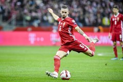 Piłka nożna: Eliminacje mistrzostw świata - mecz: Irlandia - Węgry