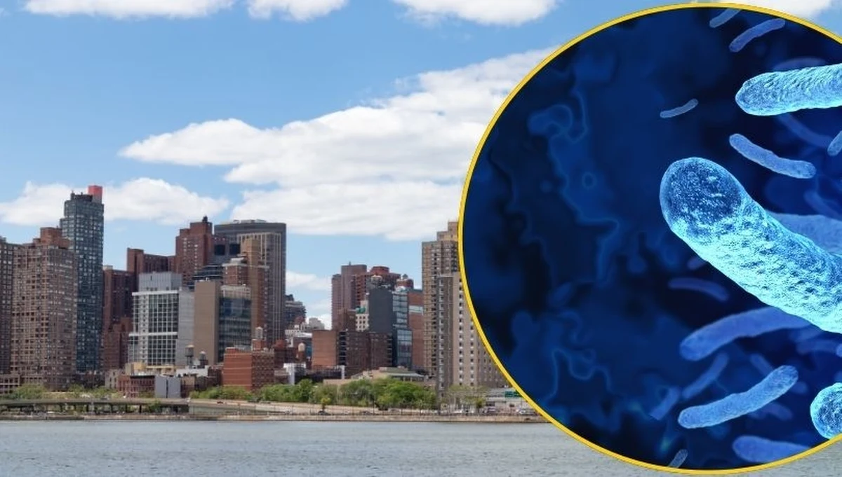 W Nowym Jorku w wyniku tzw. choroby legionistów zmarło w ostatnich dniach 7 osób, 114 zostało zakażonych. Bakterie z rodzaju Legionella odkryto w 12 chłodniach kominowych w 10 budynkach, w tym w miejskim szpitalu i klinice zdrowia seksualnego.