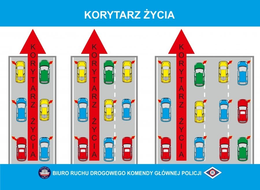 /Policja Milicz /Policja