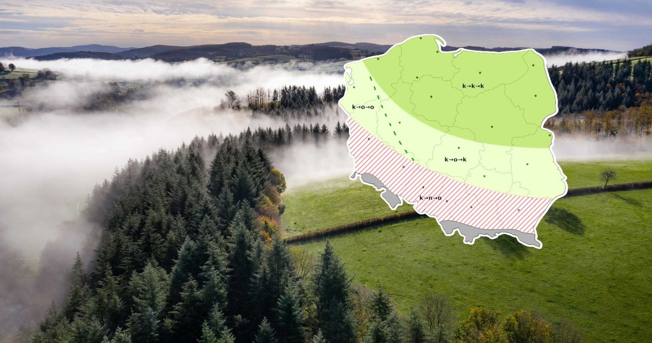 Mglisty poranek, potem zmiany na lepsze. Burze tylko w jednym rejonie