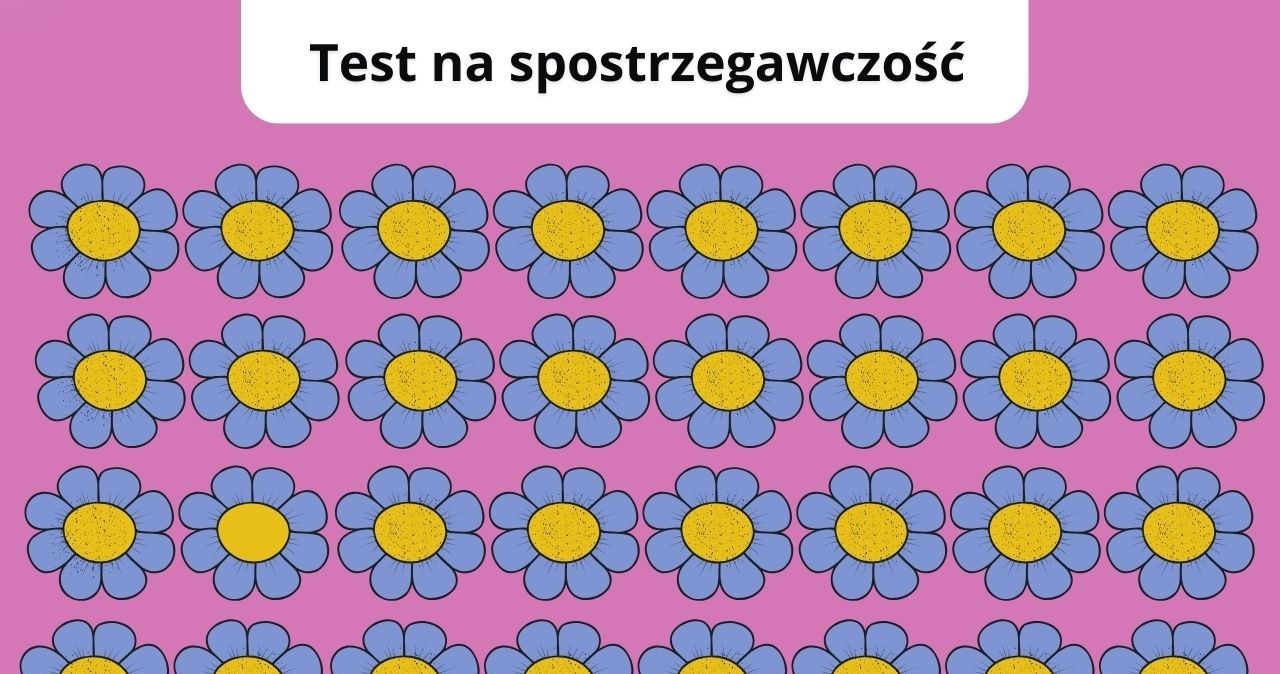 Masz wzrok jak lupa? Trudny test na spostrzegawczość