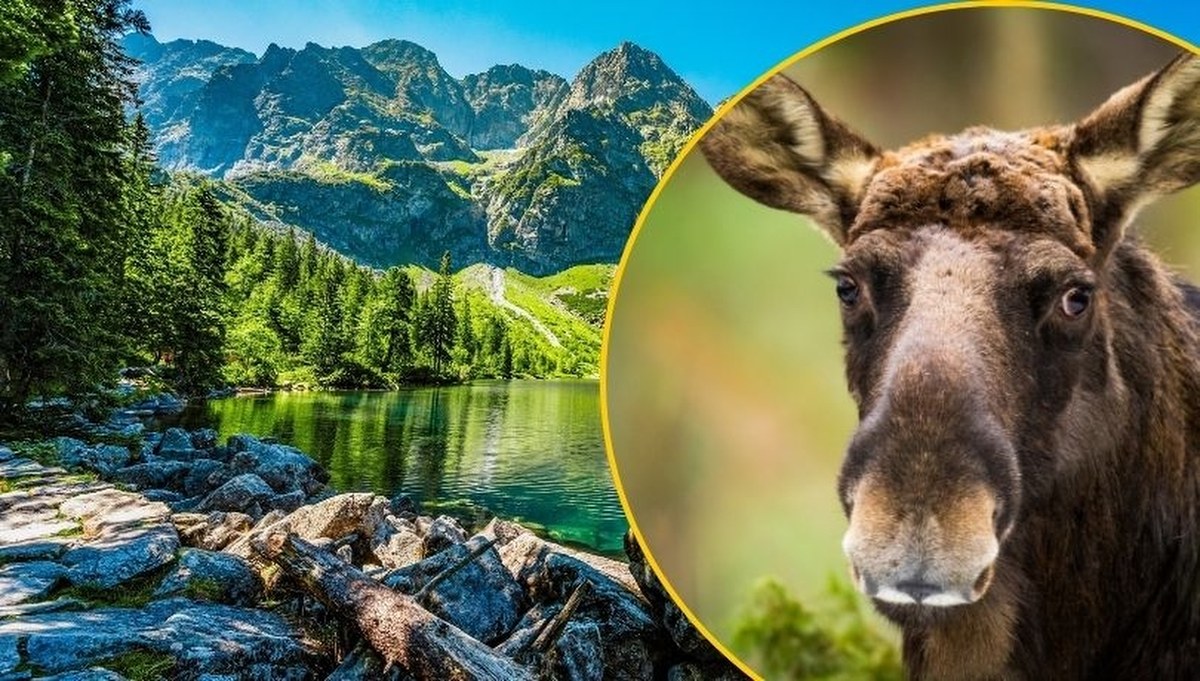 Parki narodowe na minusie. Alarmujące prognozy