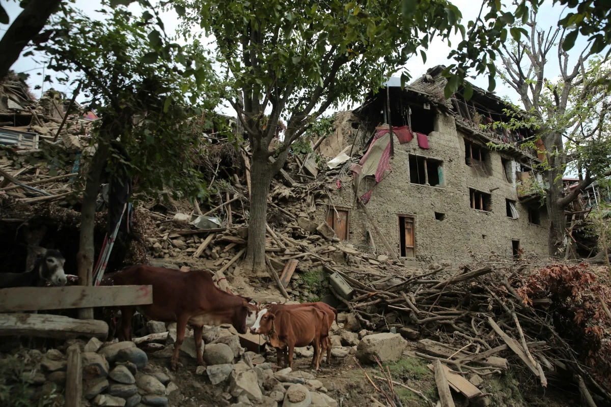 Ponad 1,4 tys. osób zginęło a co najmniej 3 tys. zostało rannych w trzęsieniu ziemi, które nawiedziło Afganistan. Zniszczonych zostało ponad 8 tys. domów. Talibowie poprosili o pomoc międzynarodową.
