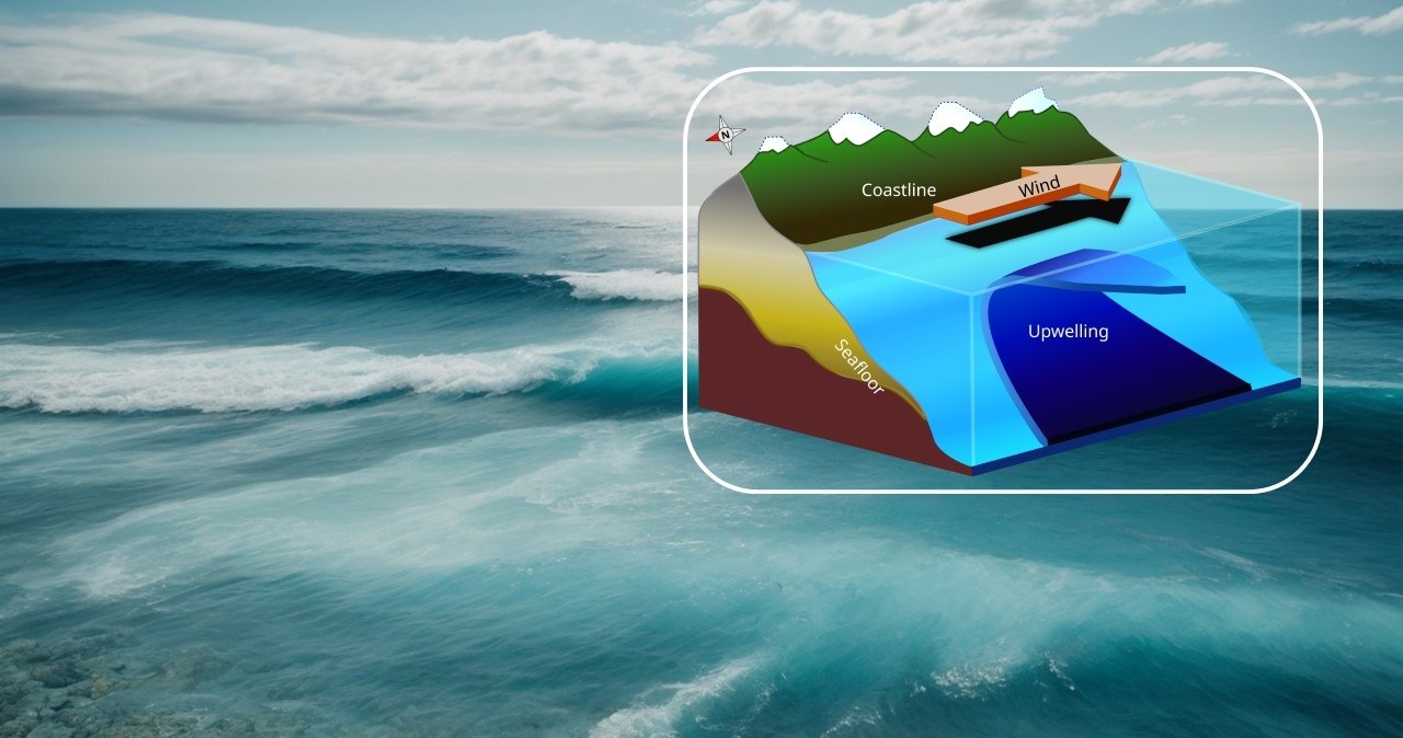 Coś złego stało się o oceanem. Po raz pierwszy od co najmniej 40 lat
