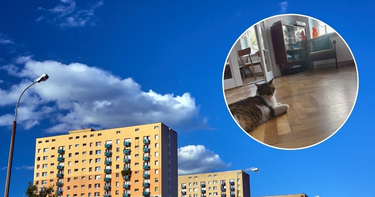 Babciny element wraca do łask. Ludzie płacą krocie, by mieć go w domu