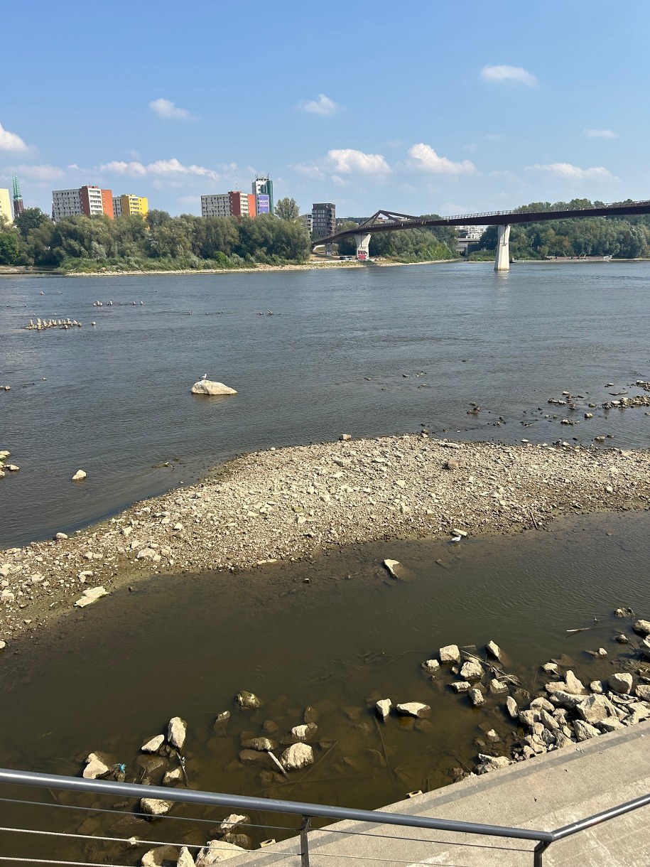 /Magdalena Grajnert /RMF FM