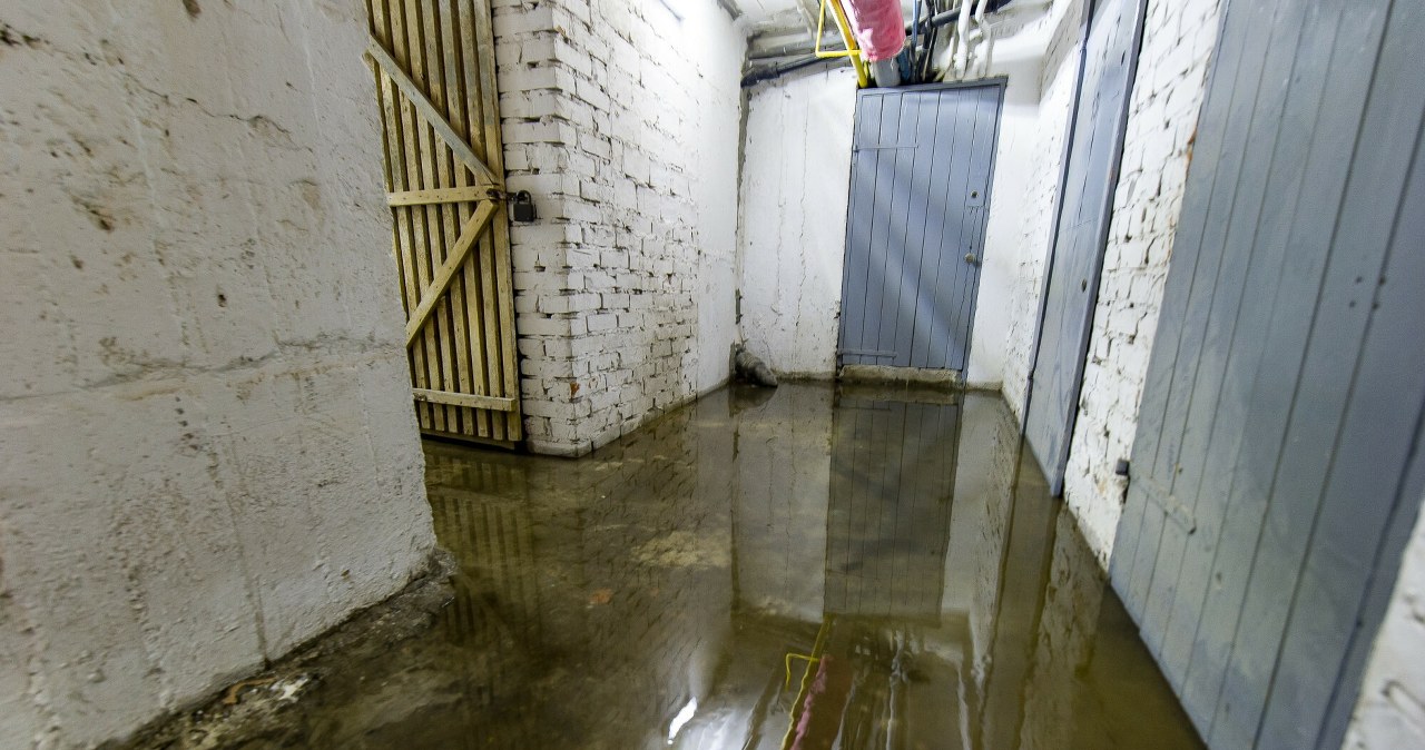 Kiedy zalana piwnica to problem sąsiada, a kiedy twój? Wyjaśniamy