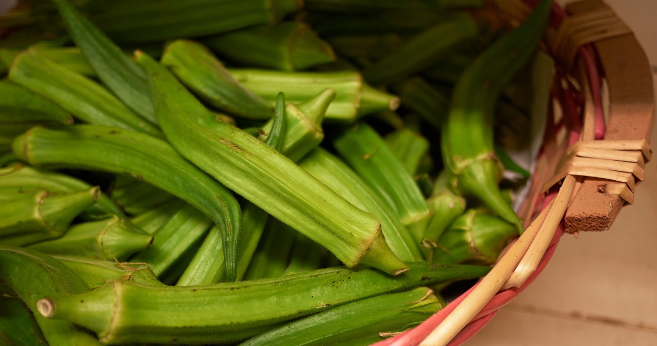 Egzotyczna okra dobra dla serca i jelit. Niedoceniona roślina źródłem wielu witamin