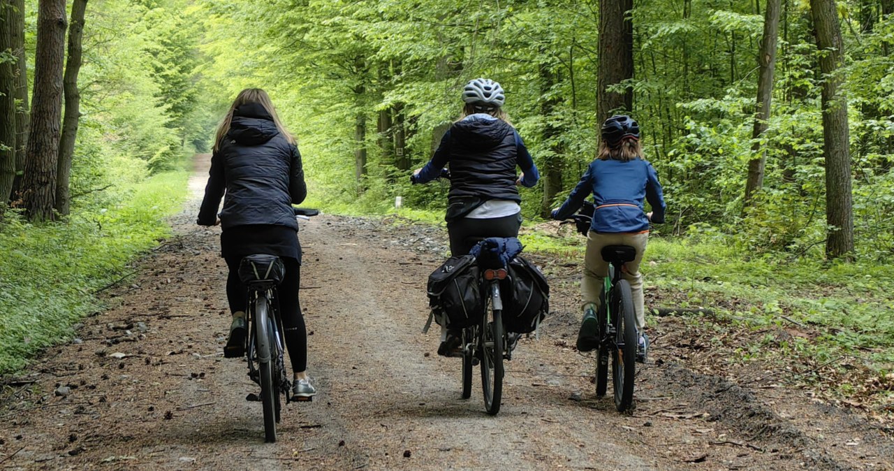 Mandat za wjazd rowerem do lasu? Rowerzyści zaskoczeni