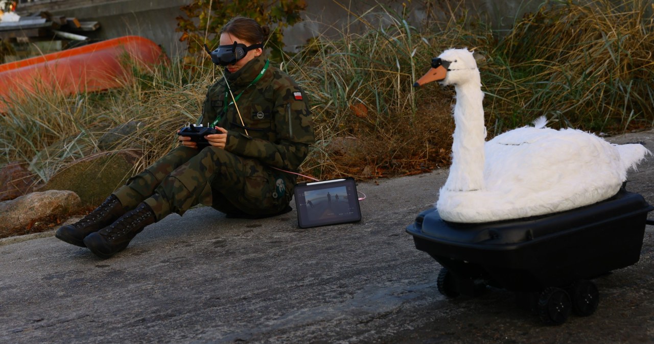 «Троянская утка». Необычный польский беспилотник на MSPO 2025