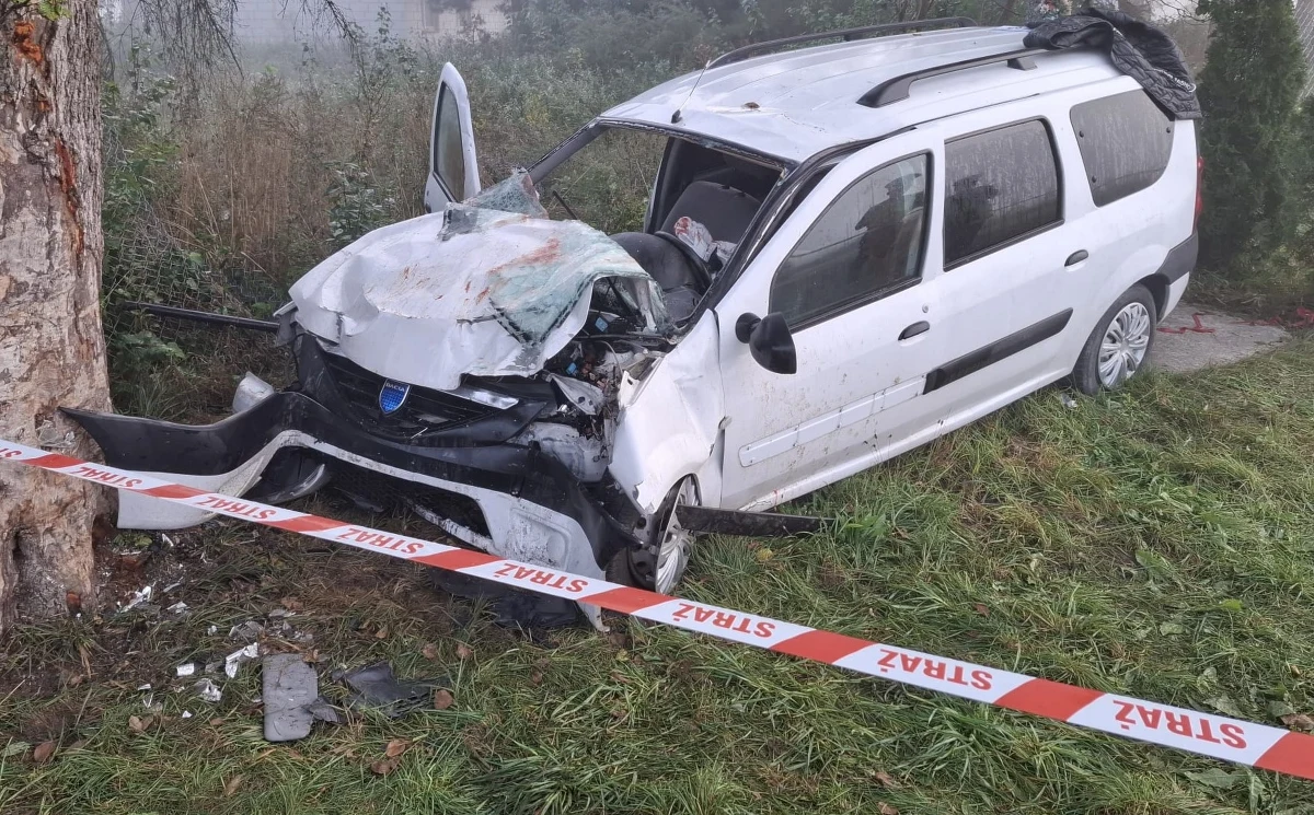 7 osób trafiło do szpitali po porannym wypadku w Tchórzowej w powiecie węgrowskim na Mazowszu. Samochód wypadł tam z drogi i uderzył w drzewo. 